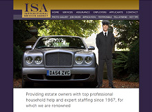 custom designed business website solutions